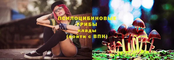 мяу мяу мука Саяногорск