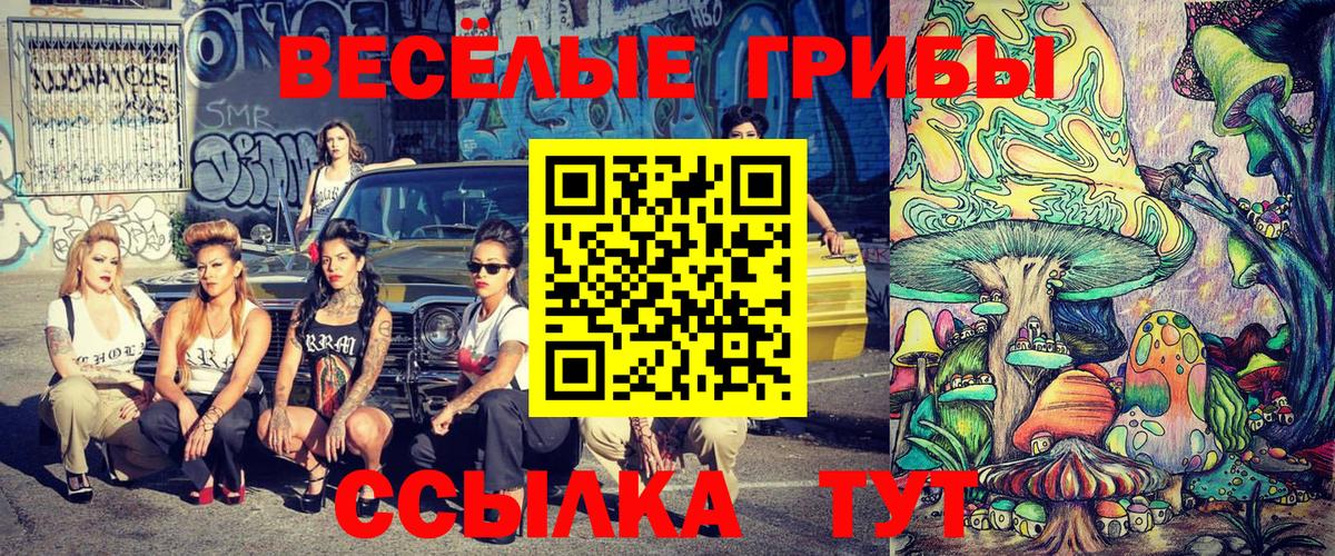 Галлюциногенные грибы Psilocybe Ялта
