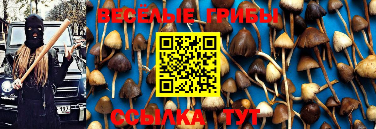 купить наркотик  Вход с VPN  Псилоцибиновые грибы Psilocybe  Ялта  Псилоцибиновые грибы прущие грибы 